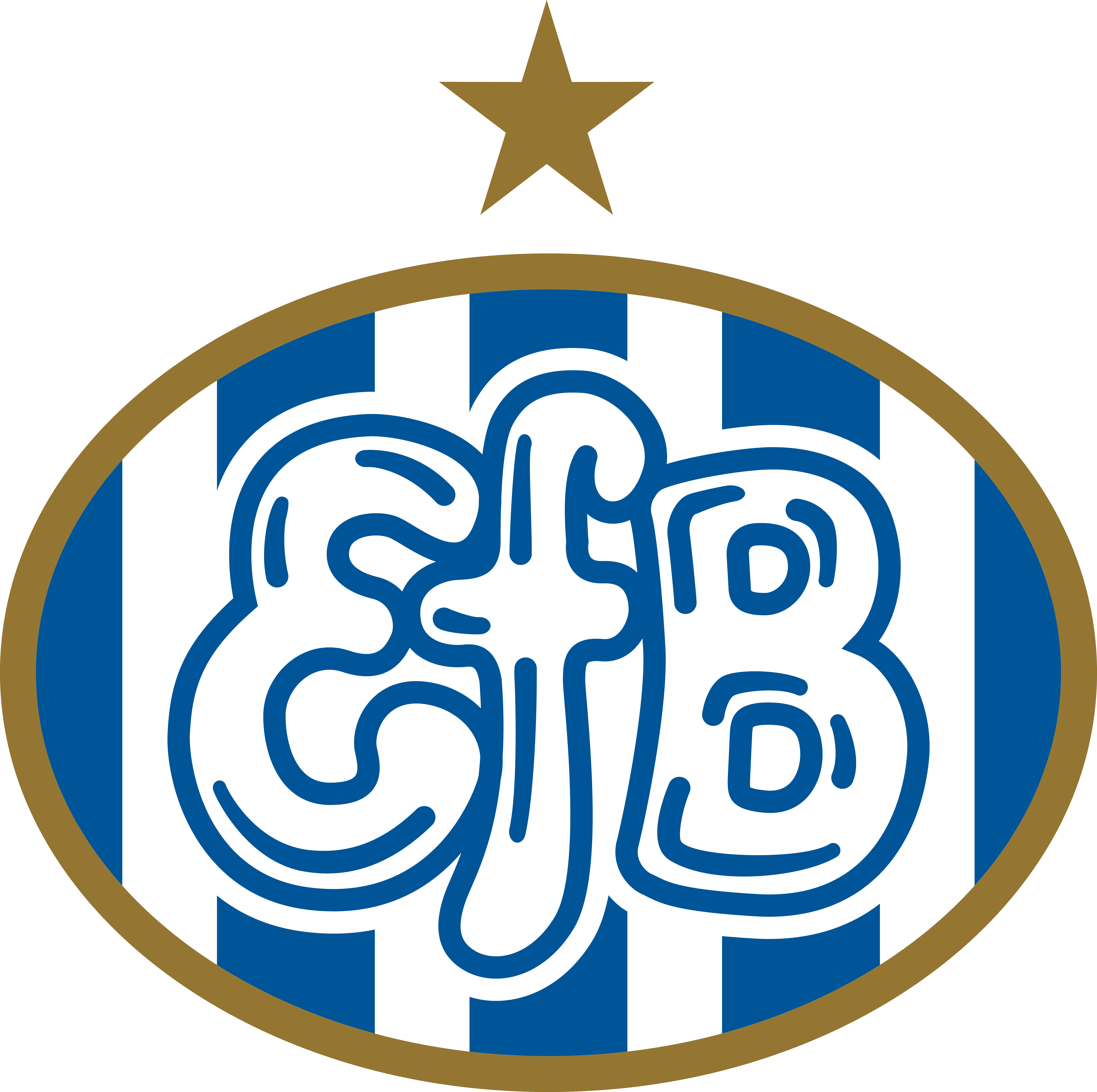 Efb logo